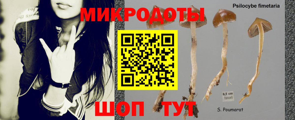 Тольятти  Галлюциногенные грибы мицелий  Галлюциногенные грибы мицелий  Вход с VPN 